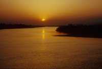 237 Euphrate près de Ur