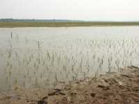 19-Baray Occidental *