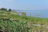 24 Le lac de Tibériade au sud de Kursi