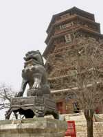 50 Yingxian Lion & Pagode