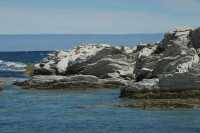 104 Péninsule de Kaikura B