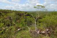 29 Lichtfield National Park