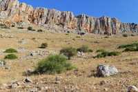 03 Arbel