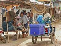 12-Pressoir à cannes