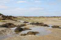 114 Nord de la grande grève