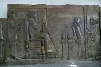 36 Darius I ou  Xerxes *