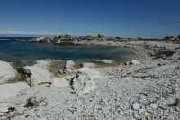 103 Péninsule de Kaikura