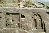 263 Bendis & son chien