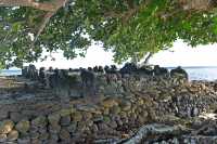 130 Marae Hauviri (Taputapuatea)