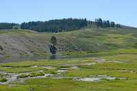 064 Yellowstone River (Oies) B