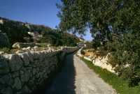 320 Entre St Paul et Mellieha Bay