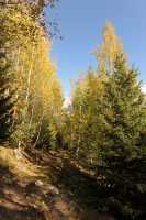 10 Sentier ensoleillé