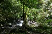 075 Torrent (Trois cascades)