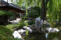 45 Jardin japonais