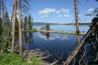 076 Yellowstone Lake (Nord)