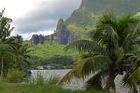 72 Baie de Cook (Paopao)