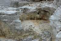 029 Tikitere (Hell's Gate à 16 km de Rotorua)