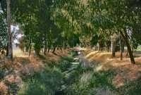 512 Près du Forum d'Appius