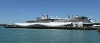 61 Auckland - Port