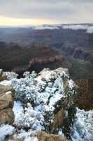 47 Gd Colorado Neige