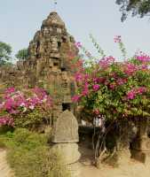 05-Ta Prohm