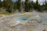 109 Spasmodic Geyser