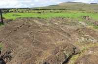 42 Pétroglyphe (Thon) à Tongariki (Papa Tataku Poki)