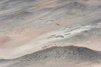 11 Vallée du Lluta - Géoglyphes & condor