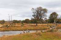 082 Ouettes de Magellan