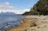 14 Plage près du glacier Aguila