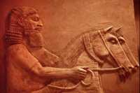 597 Paire de chevaux (Palais de Sargon II)