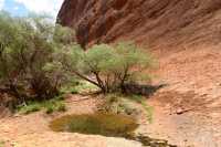 46 Walpa Gorge