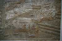 42 - Transport des cèdres du Liban