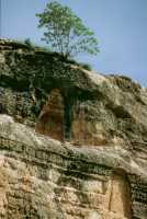 684 Bavian bas-reliefs