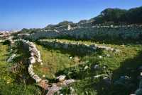 344 Près de Mdina-Rabat