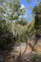 56 Standley Chasm (au pied de Larapinta Hill)