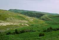 667 Bavian - vallée