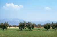 516 Entre le Forum d'Appius et les 3 Tavernes