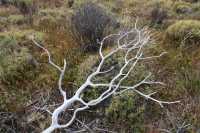 50 Sur la rive du Lago azul