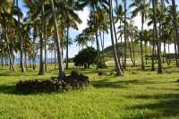 56 Palmeraie & restes du village (Aldea Manga Hauepa) B