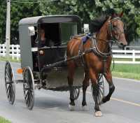 26 Carriole amish