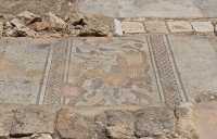 016 Mosaïque d'Orphée