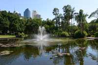 11 Le jardin botanique