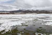 117 Lagune de Parinacota