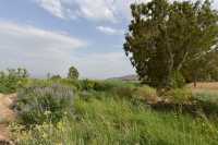 75 Entre le sud de Magdala et le lac de Tibériade