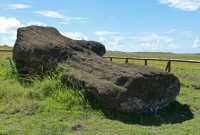 07 Moai renversé