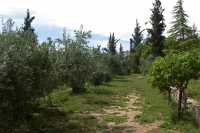 32 Chemin - Abu Gosh - Emmaüs - Abbaye bénédictine Sainte Marie de la Résurrection