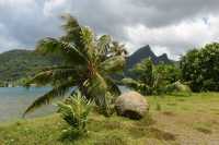 17 Côte est de Moorea (près de Vaiare)