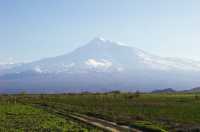 29 Ararat