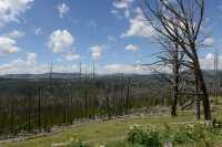 82 Forêt incendiée B